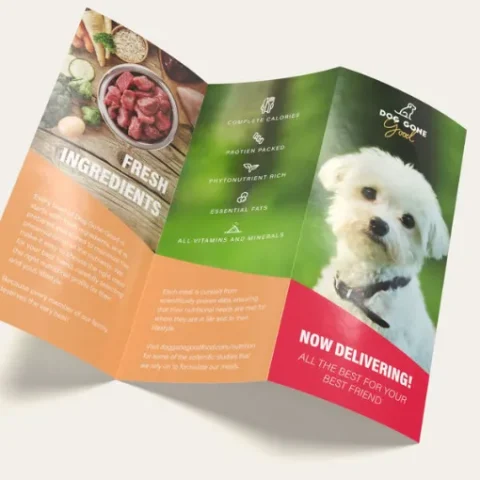 Brochure Printing